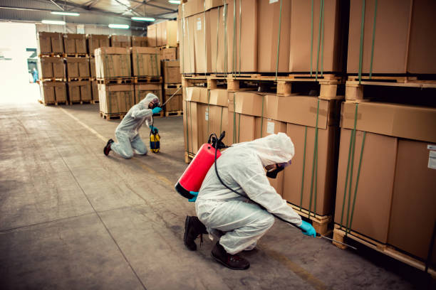 Best Emergency Pest Control  in Oelwein, IA
