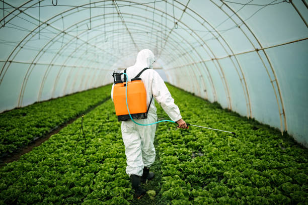 Best Pest Prevention Services  in Oelwein, IA
