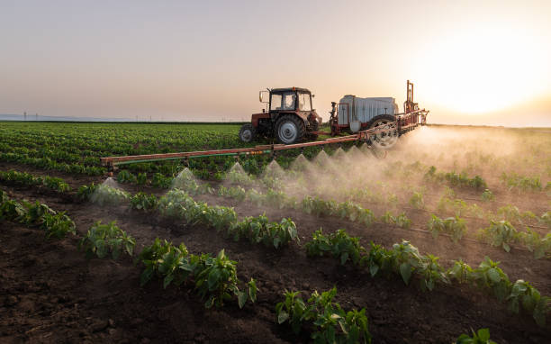 Best Affordable Pest Control Services  in Oelwein, IA