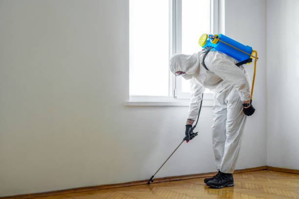 Best Commercial Pest Control Services  in Oelwein, IA