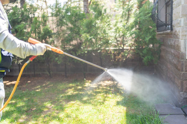 Best Best Pest Control Companies  in Oelwein, IA