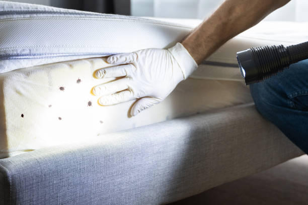 Best Best Pest Control Companies  in Oelwein, IA
