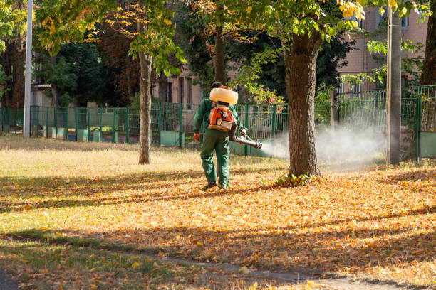 Best Mosquito Control Services  in Oelwein, IA