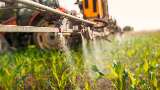 Best Exterminator Services  in Oelwein, IA