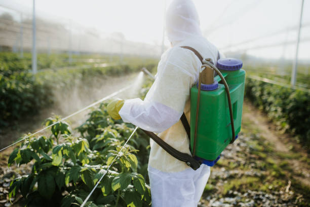 Professional Pest Control in Oelwein, IA